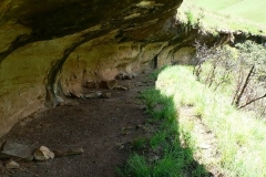 Bird's Nest Cave