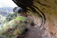 Bird's Nest Cave