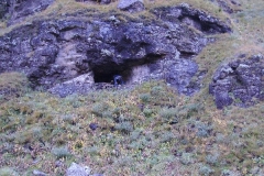 Bridge Cave