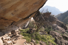 Butterfly Cave
