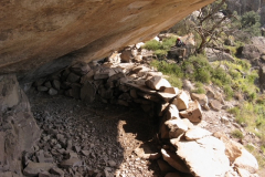 Butterfly Cave