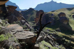 Butterfly Cave