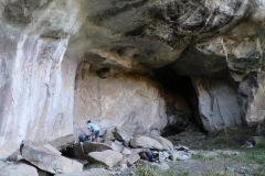 Cat Cave