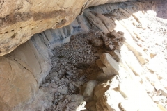 Cod's Eye Cave