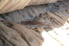 Cod's Eye Cave