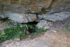Daniel's Cave