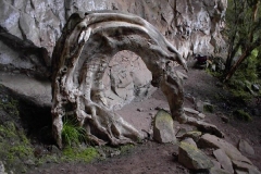 Dinosaur Cave
