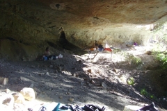 Forest Shelter