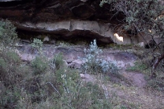 Glade Cave