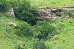 Marble Baths Annex
