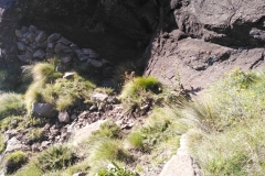Ndumeni Gully