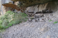 Rob's Cave