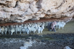Senotlolong Shelter