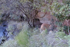 Shelter Cave