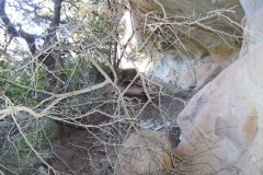 Shelter Cave