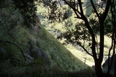Shelter Cave