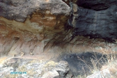 Sleeping Beauty Cave Annex