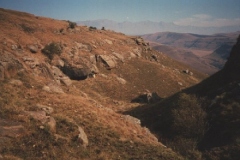 Tootie's Cave