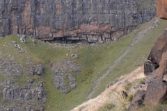 Twins Cave