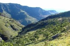 Wonder Valley Cave