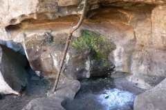 Yellowwood Cave