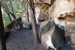 Yellowwood Cave