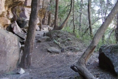 Yellowwood Cave