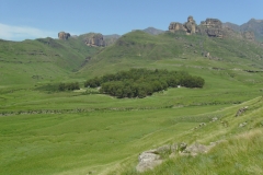 Garden Castle