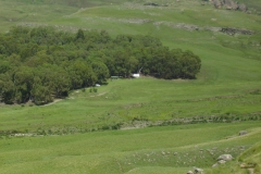 Garden Castle