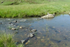 Bushman's Nek