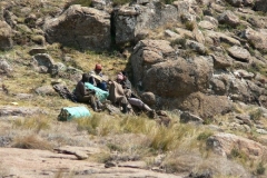 Dagga Smugglers