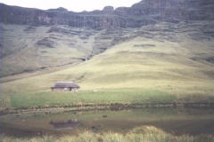 Giant's Hut