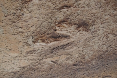 Dinosaur Footprint