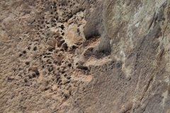 Dinosaur Footprint