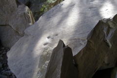 Dinosaur Footprint