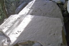 Dinosaur Cave
