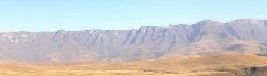 Injasuti
