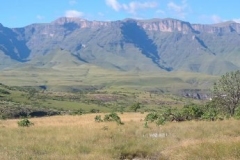 Vaalribbokkop View