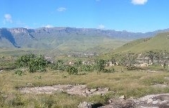 Vaalribbokkop View
