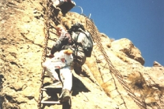Chain Ladders