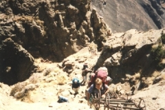 Chain Ladders