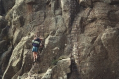Chain Ladders