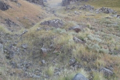 Hlubi-Pass (South)