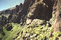 Organ Pipes Pass