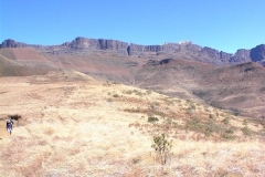 Organ Pipes Pass