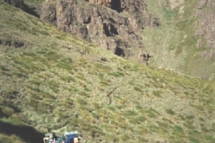 Organ Pipes Pass