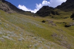 Saddle Pass