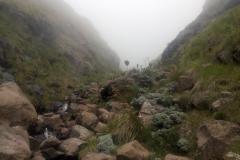 Wilson's Pass