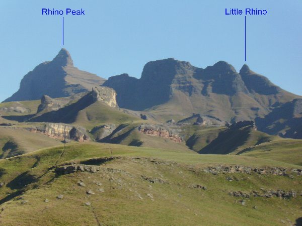 The Rhino and Little Rhino