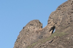Intunja